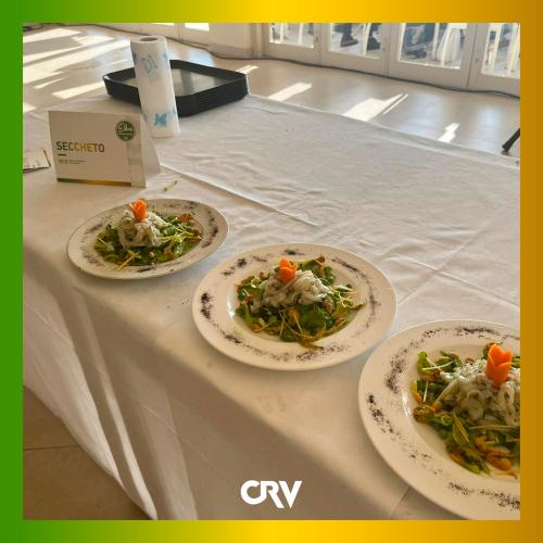 cornice-CRV11