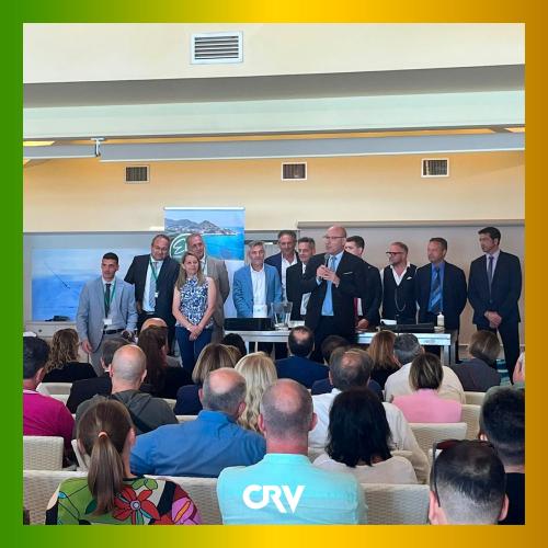 cornice-CRV2