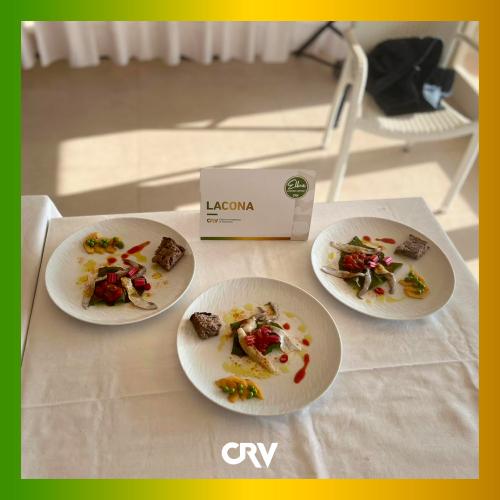 cornice-CRV7