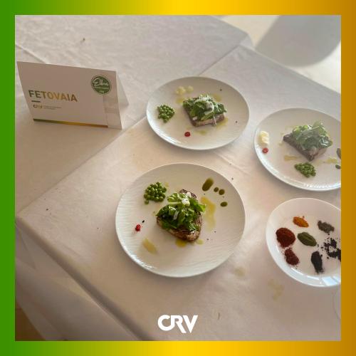 cornice-CRV9